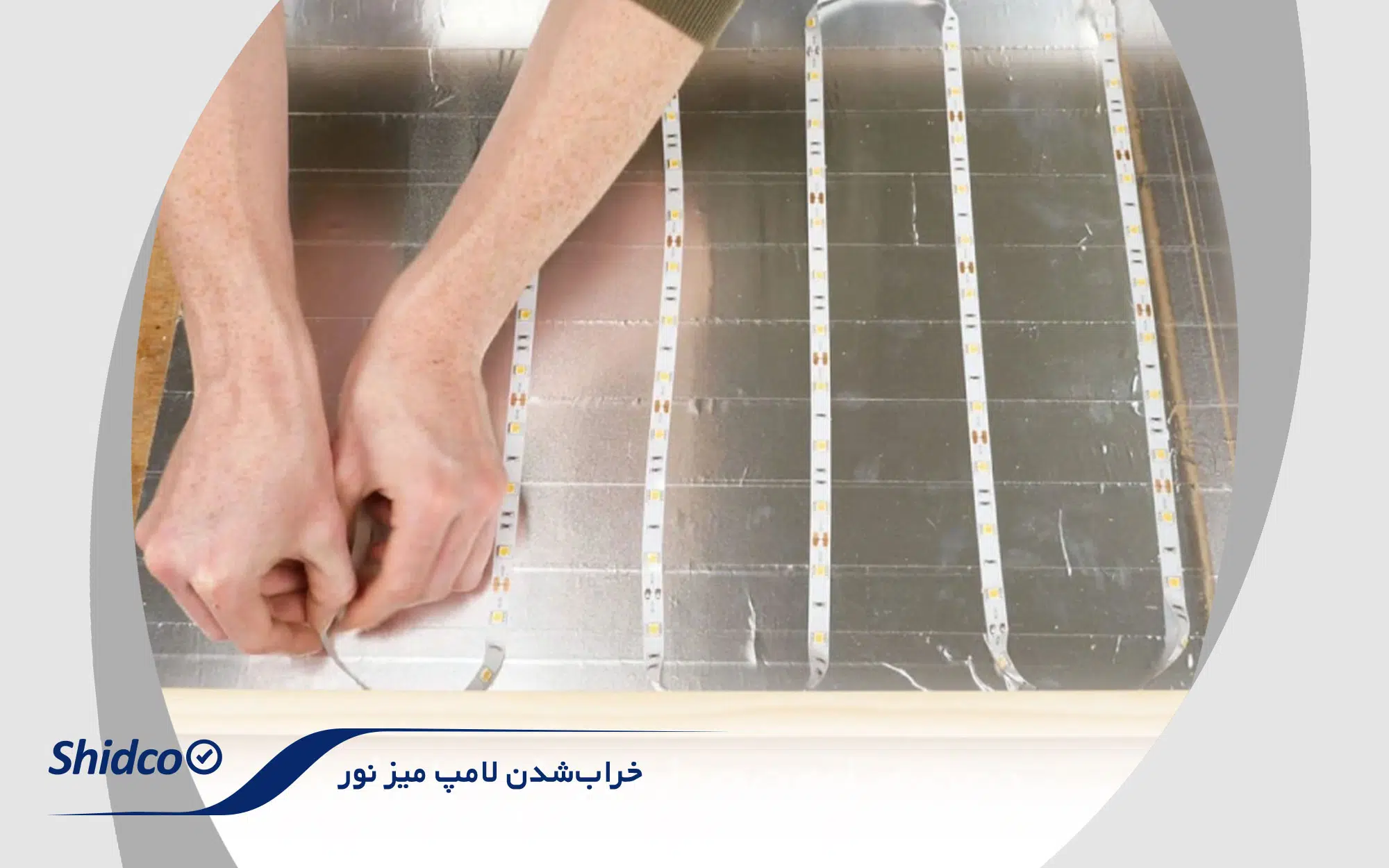 وایت برد چرخدار